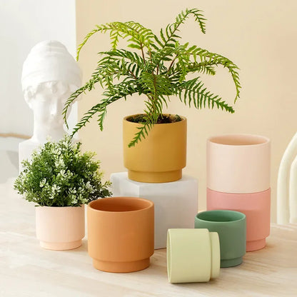 Maceta de cerámica Aloe